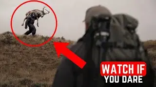 30 тревожных видео с бигфутами и криптидами, снятых на камеру