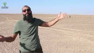 شاهد كيفية ترتيب الاعمال الفنية لانشاء مزرعة نموذجية من البداية للنهاية
