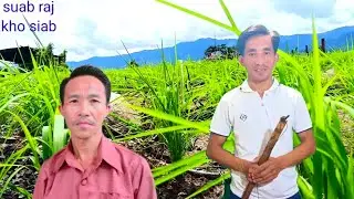22.7.2024.suab raj kho siab thov tuaj Ntawm nkias pov lis nyob ຫຼວງພະບາງ pham poob
