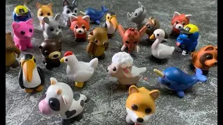 The secret of the animals inside the egg. dog, cat, bird, chicken, fish