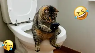 You Laugh You Restart 😂 Funniest Cats and Dogs 2026 🐕 💜 Part 11