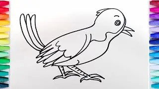 Learn Colours for Kids with Birds Coloring pages  Colors for Children | Water Color | Graffizen