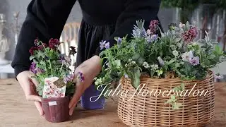 パンジーとビオラの寄せ植え/春を待つお花/雪国/ガーデニング