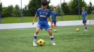 Ball Mastery: Tictac Stepover