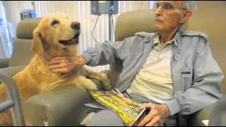 Therapy dog Skarlet comforts Fresno cancer patients