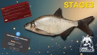 New Year Challenge 2025 - Stage 3 - Russian Fishing 4