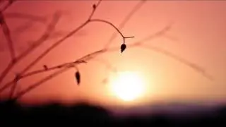Trebles and Blues - Out of My Mind