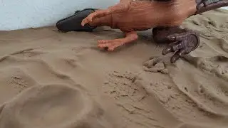 Climas cambiantes - mini corto del per&iacute;odo tri&aacute;sico tard&iacute;o