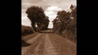 Unknown song clip 