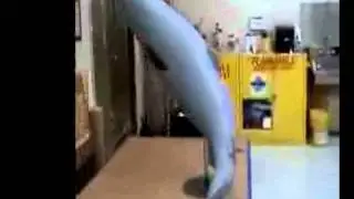 hadleyvisit.mp4