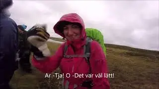 Helags 2018 The Movie