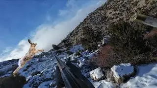 KARDA TAVŞAN AVI RABBIT HUNTING İN THE SNOW Охота на кроликов в снегу