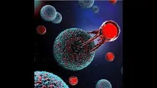 In Vivo CAR T-Cell Engineering | Transforming Cancer Treatment