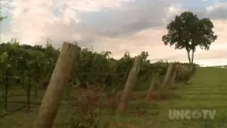 NC WEEKEND | Raffaldini Winery and Vineyards | UNC-TV