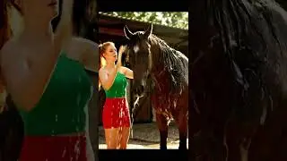 Beautiful girl & Smart Horse  ep 36 #horse #nature #love #animals