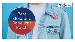 8 Best Mosquito Repellent Patch Stickers