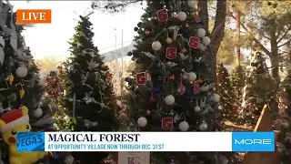 Magical Forest at Opportunity Village
