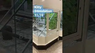 Urban Hunter 🐈&zwj;⬛ at Petco