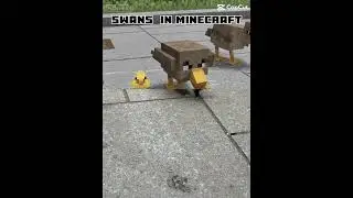 Swans in Minecraft !