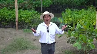 Magdalena cajamarca ..