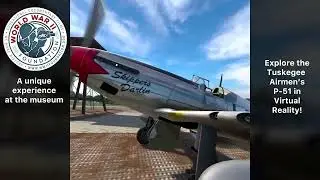 P 51 Walk Around