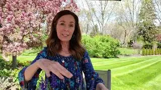 Container Garden Tutorial: Thrillers, Spillers, and Fillers