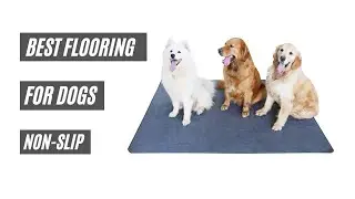 Top 5 Best Flooring For Dogs Non Slip, Waterproof