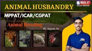 Animal Husbandry : Animal Breeding || 02 #mppat #cgpat #agriculture #education