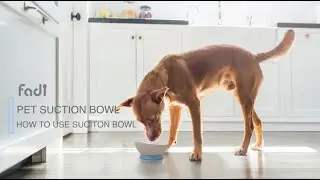How to use FADI SUCTION BOWL