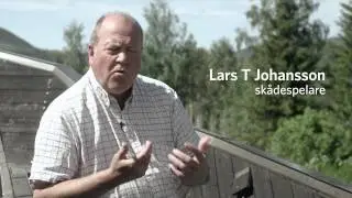 Vildhussen