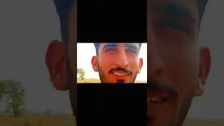 Aj hua vlog as a kisan 😂 sari gandum ki fsl ka visit kia 😍 #plz subscribe to my Youtube channel 👍👈