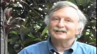 CFS and Fibromyalgia Overview