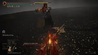Solo Radagon / Elden Beast Ng+6