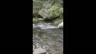 Next Turn Outdoors