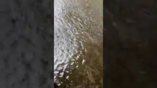 Because of continuous rain.#asmr #flood