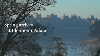 Spring at Blenheim Palace