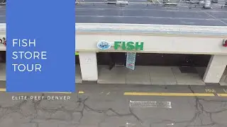 Elite Reef Denver, Colorado Fish Store Fly Through