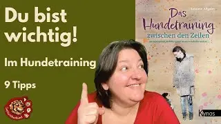Dreamteam Mensch und Hund - 9 Tipps