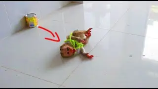 Very naughty and funny cute baby Leo Monkey