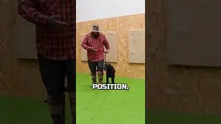 How To Get Your Dog To Walk To Heel