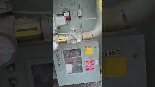 ZG63504d