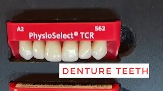 Different Levels of Denture Teeth Quality