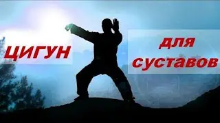 Комплекс упражнений для позвоночника и суставов - Синг Шен Джуан. Дэвид Шен.