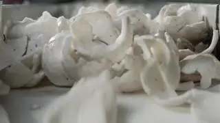 Indonesian Coconuts