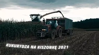 ☆KOSZENIE KUKURYDZY NA PODLASIU☆KRONE BIG X 680 SHREDLAGE☆2021☆