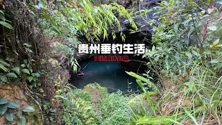 Wild Fishing And Cook And Overnight Camping in the Mountains with Friends 镜头一起享受荒野垂钓/露营/美食/探险！