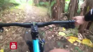 VICTORIA BIKE TRAIL|MTB Trail ride with sir. @amiellabrador & the 4 guys Dec. 18,2023