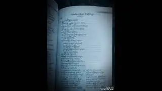 New Songs #517, YP 189