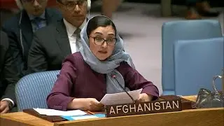 The situation in Afghanistan - Security Council, 8620th meeting