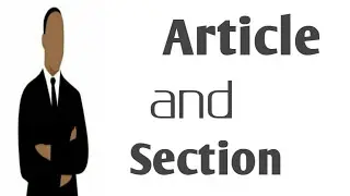 Article and section